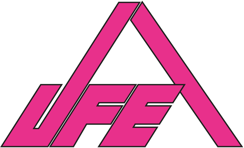 UFE Sicherheitstechnik